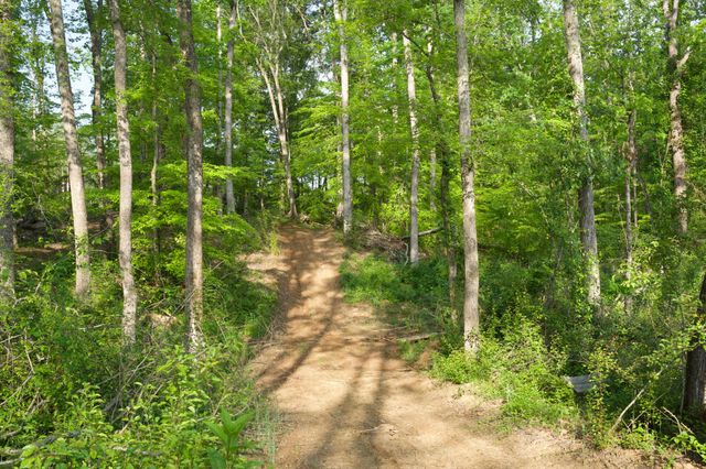 0 Hankins Rd, Rock Island, TN 38581