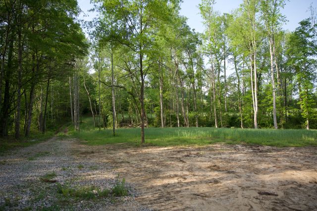 0 Hankins Rd, Rock Island, TN 38581