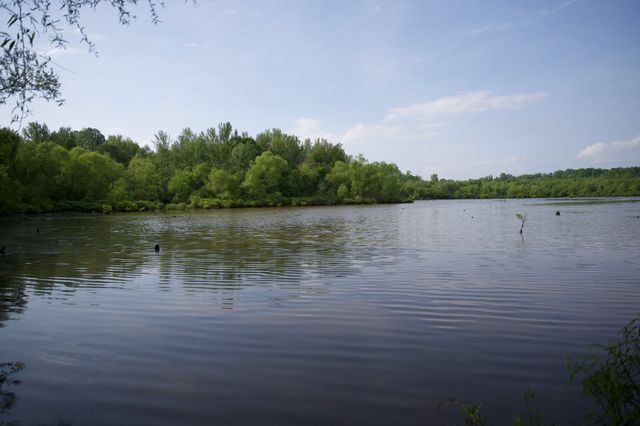 0 Hankins Rd, Rock Island, TN 38581