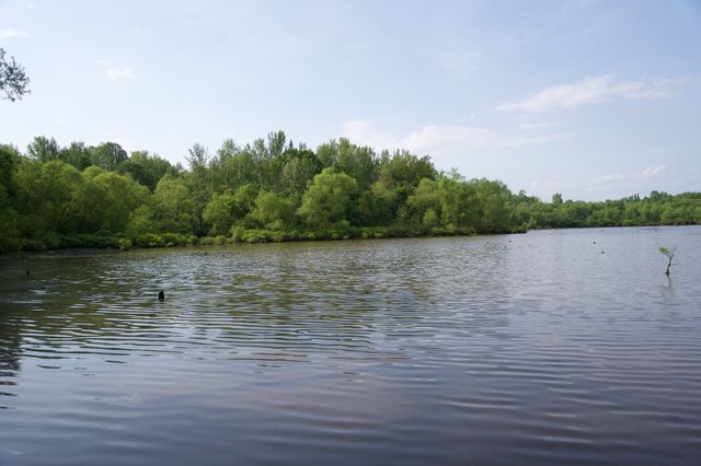 0 Hankins Rd, Rock Island, TN 38581