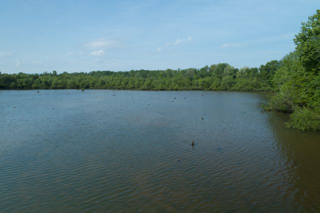 0 Hankins Rd, Rock Island, TN 38581