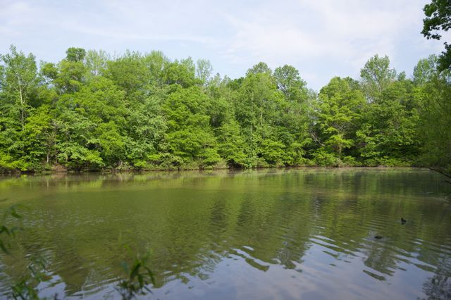 0 Hankins Rd, Rock Island, TN 38581