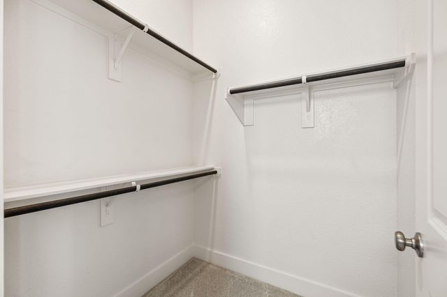 5015 Blooming Hibiscus Lane, Manvel, TX 77578