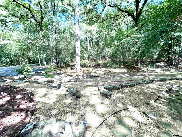 165 Sunny Glen, Holly Lake Ranch, TX 75765
