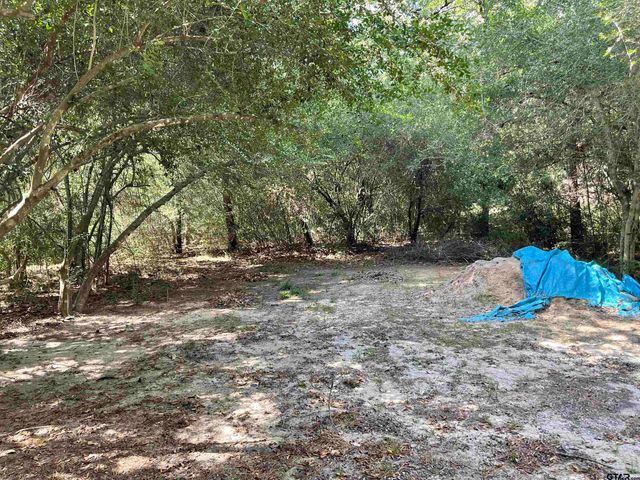 165 Sunny Glen, Holly Lake Ranch, TX 75765