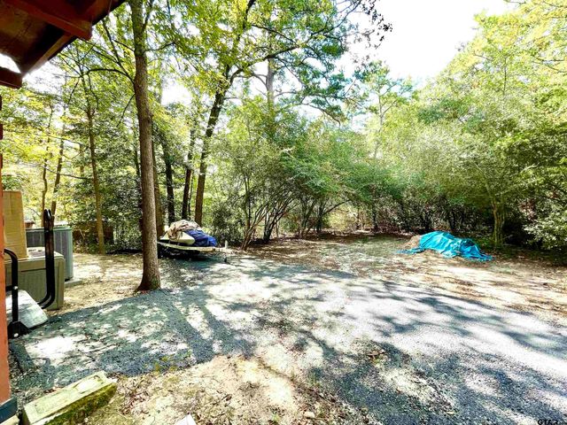 165 Sunny Glen, Holly Lake Ranch, TX 75765
