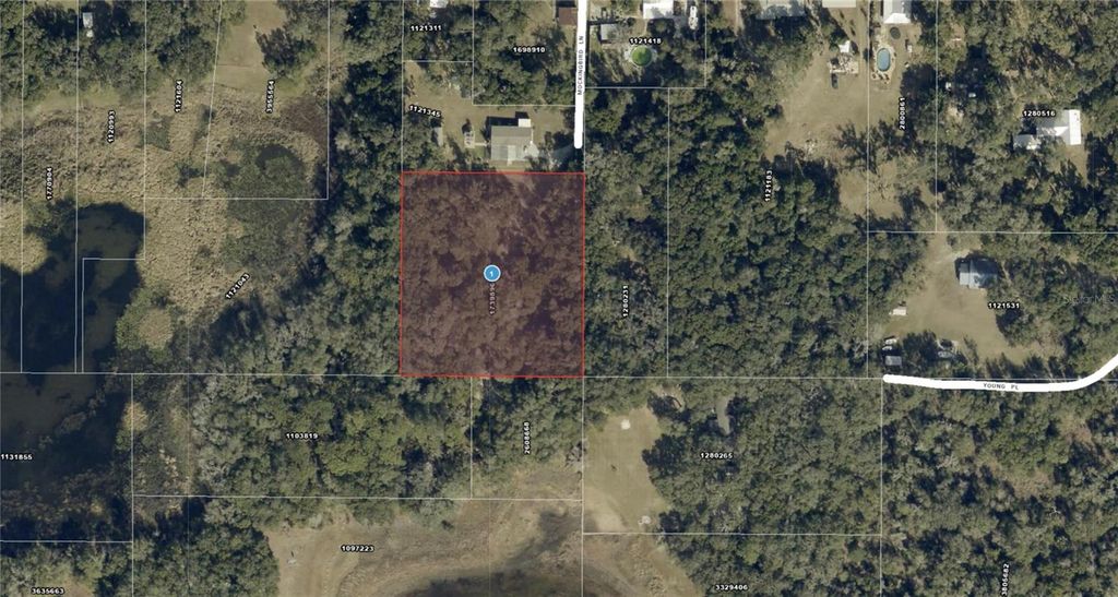 128 MOCKINGBIRD LANE, Lady Lake, FL 32159