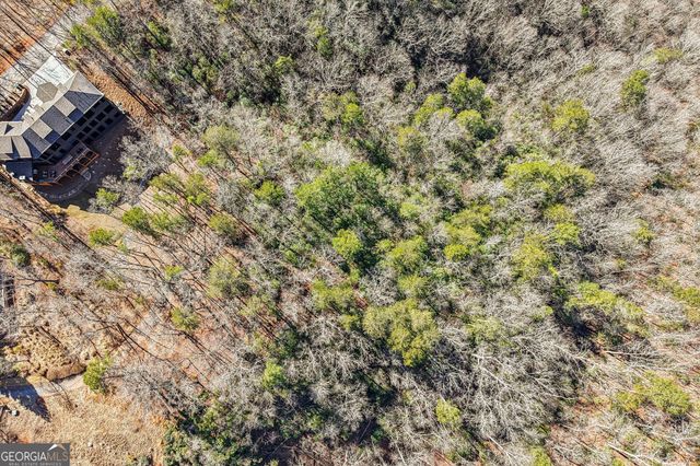 1034 Ainu Court, Dahlonega, GA 30533