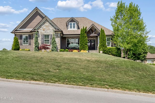 50 Sunset Ridge Court, Gray, TN 37615