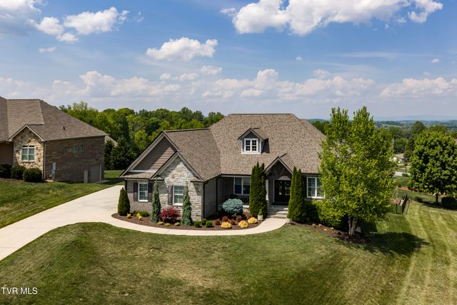 50 Sunset Ridge Court, Gray, TN 37615