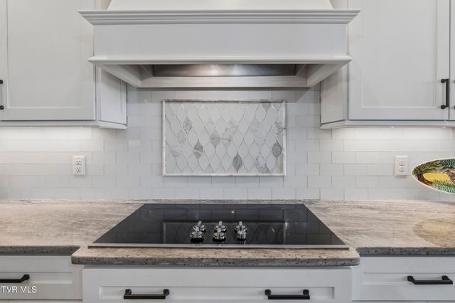 50 Sunset Ridge Court, Gray, TN 37615
