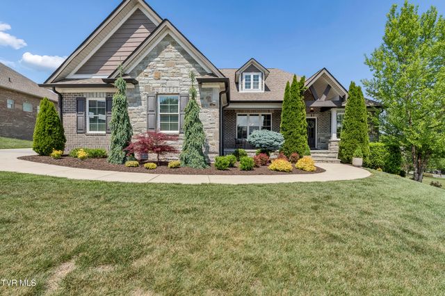 50 Sunset Ridge Court, Gray, TN 37615