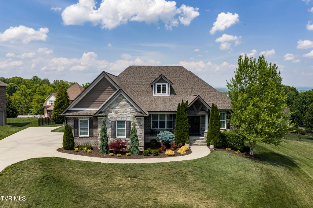 50 Sunset Ridge Court, Gray, TN 37615