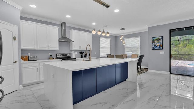 19265 UMBERLAND PLACE, Land O Lakes, FL 34638