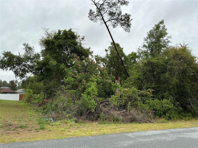 SW 165TH PLACE, Ocala, FL 34473