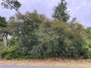 SW 165TH PLACE, Ocala, FL 34473