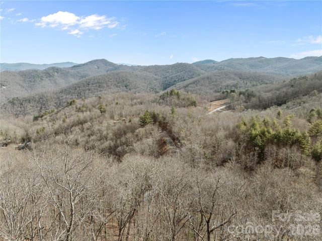1 bridgestone Drive, Glenville, NC 28736