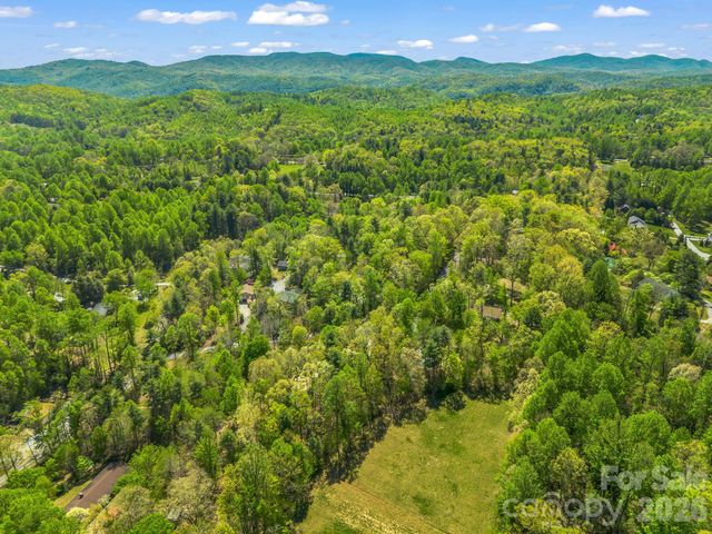 31 Firefly Lane, Saluda, NC 28773
