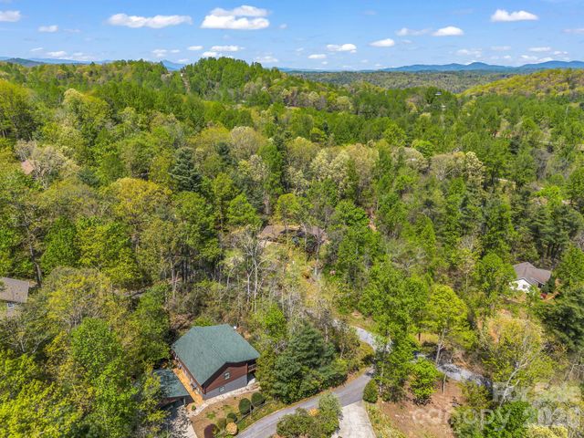31 Firefly Lane, Saluda, NC 28773