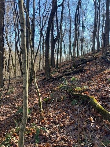 0 Drakes Branch Road, Nashville, TN 37218