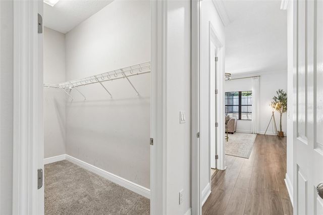 2719 CALVANO DRIVE, Land O Lakes, FL 34639
