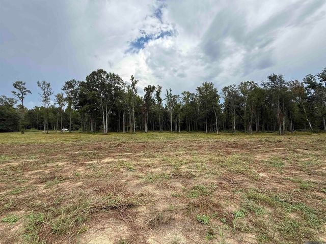 6-Z-1-C Pertuis Rd, St Amant, LA 70774