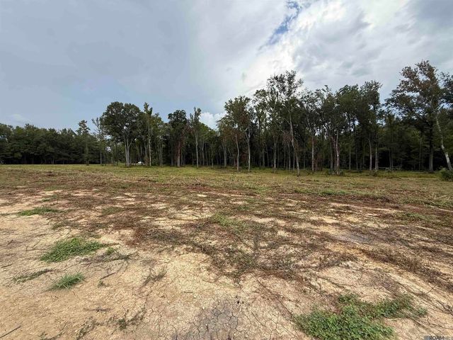 6-Z-1-C Pertuis Rd, St Amant, LA 70774