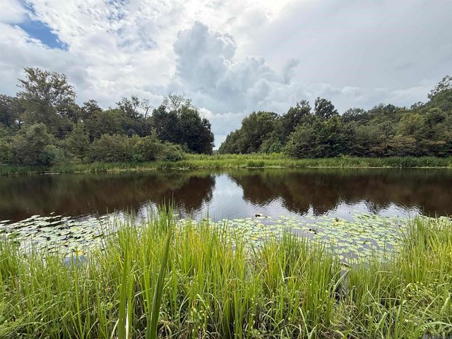 6-Z-1-C Pertuis Rd, St Amant, LA 70774