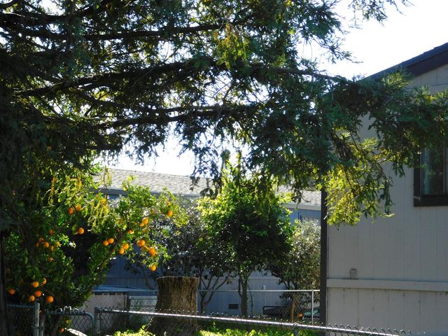 9 Sleepy Hollow Dr, Lodi, CA 95242