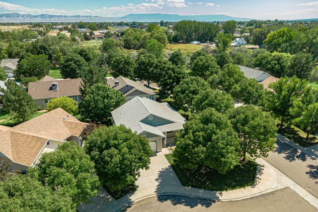 812 Alyssum Court, Fruita, CO 81521