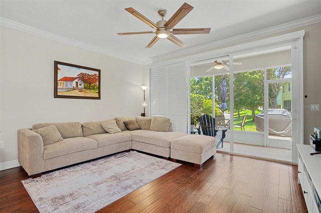 441 HARBOR RIDGE DRIVE, Palm Harbor, FL 34683