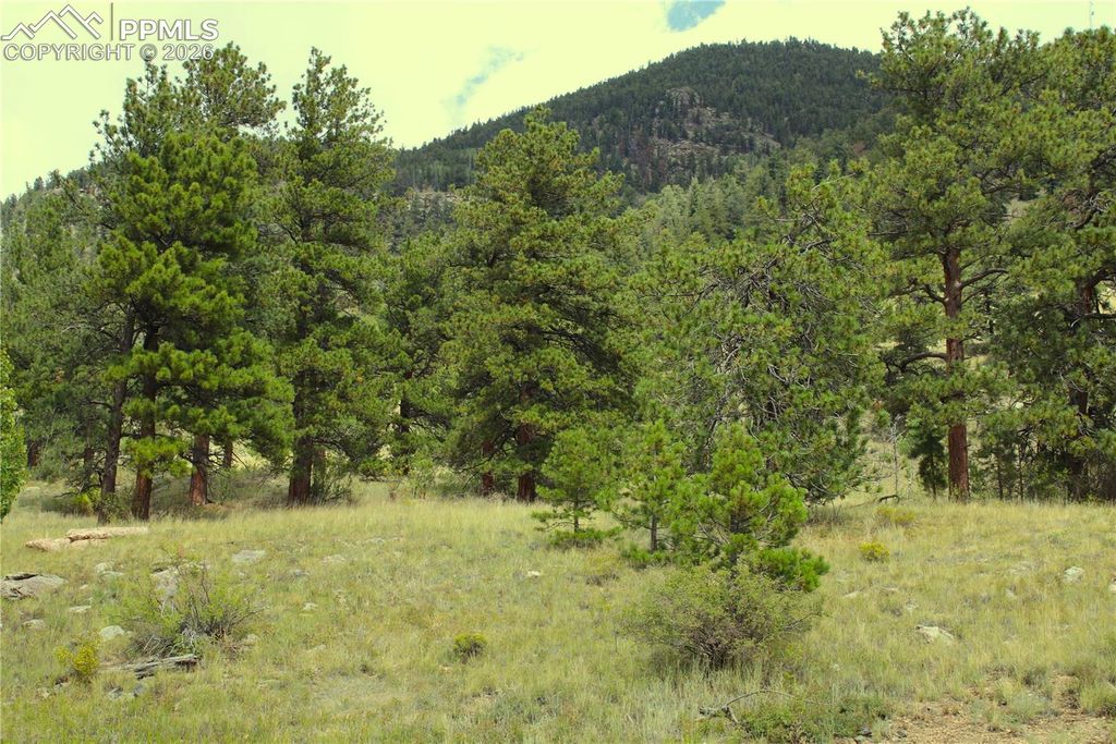 Highway 24, Hartsel, CO 80827 — exterior