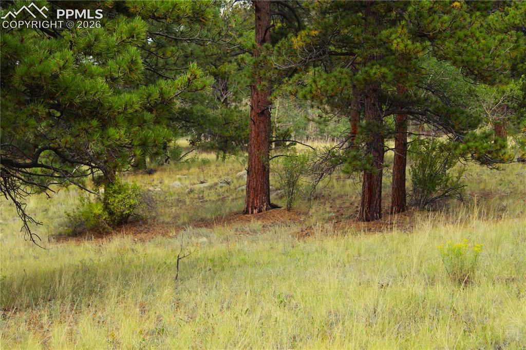 Highway 24, Hartsel, CO 80827 — photo 5