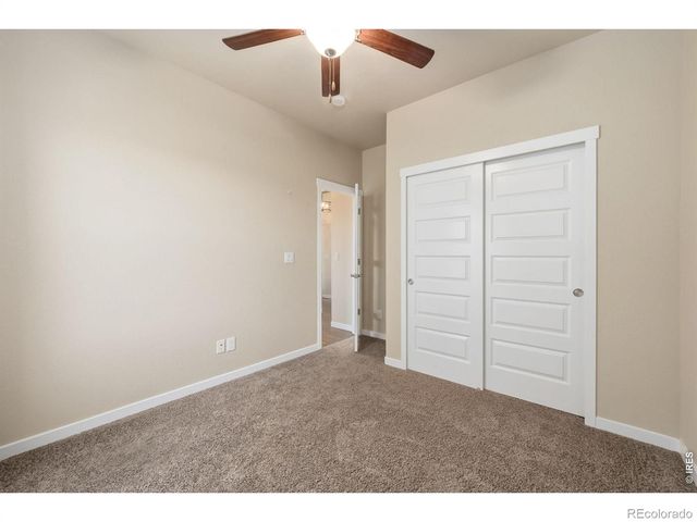 2177 Beehive Court, Windsor, CO 80550