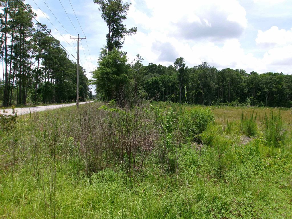 Burcale Rd., Myrtle Beach, SC 29579 — photo 3