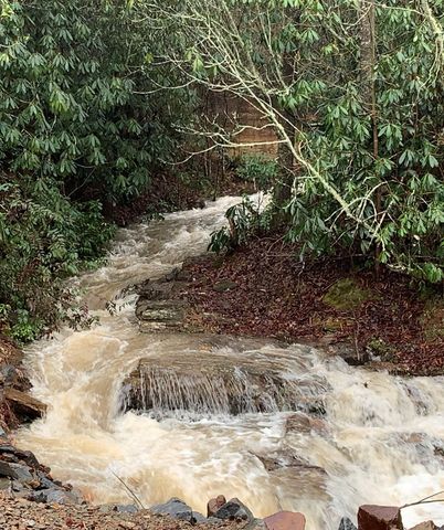 Lot 3 Wild Laurel, Brasstown, NC 28902