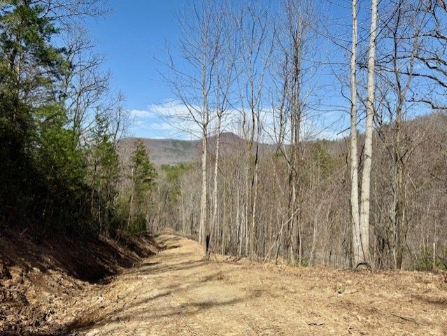 Lot 3 Wild Laurel, Brasstown, NC 28902