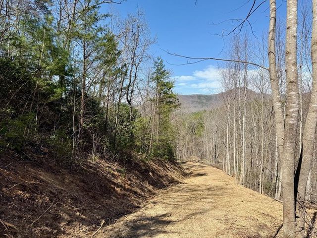 Lot 3 Wild Laurel, Brasstown, NC 28902