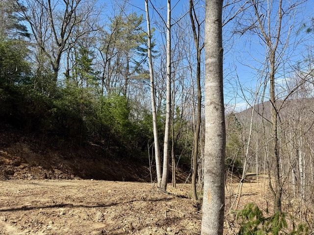 Lot 3 Wild Laurel, Brasstown, NC 28902