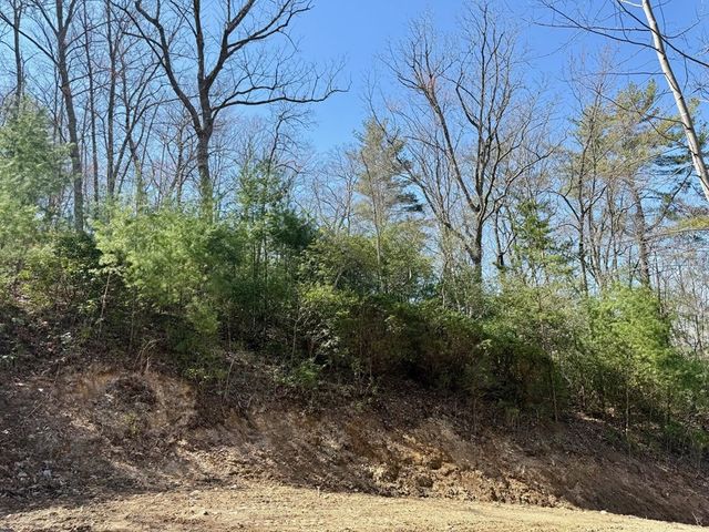 Lot 3 Wild Laurel, Brasstown, NC 28902