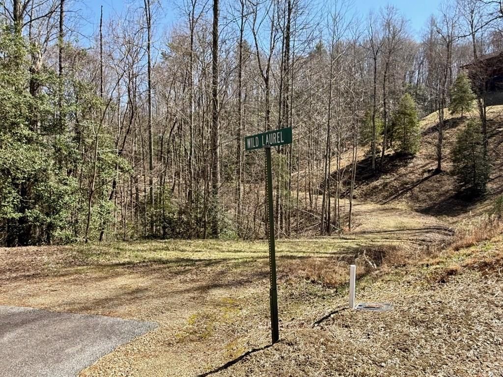 Lot 3 Wild Laurel, Brasstown, NC 28902