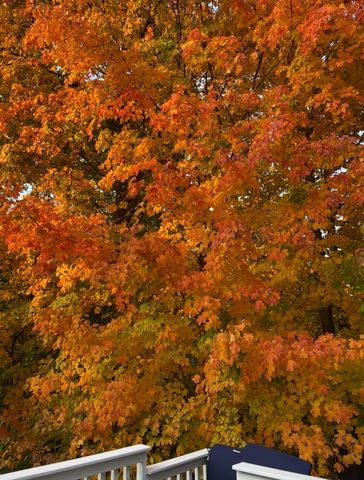 2375 Cross Creek Court, Lewis Center, OH 43035