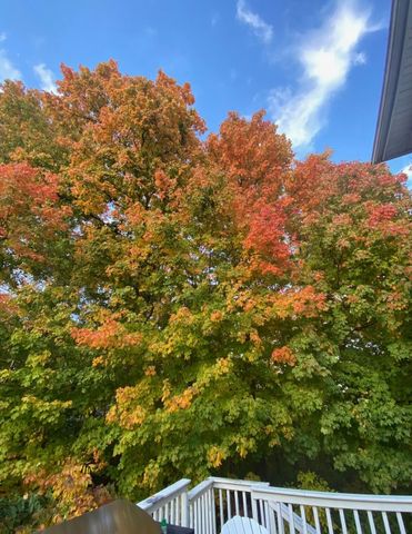 2375 Cross Creek Court, Lewis Center, OH 43035