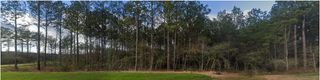 15508 Forest Grove Drive, Willis, TX 77378