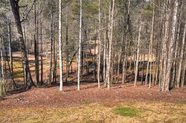 7233 Shakerag Road, Ellijay, GA 30540