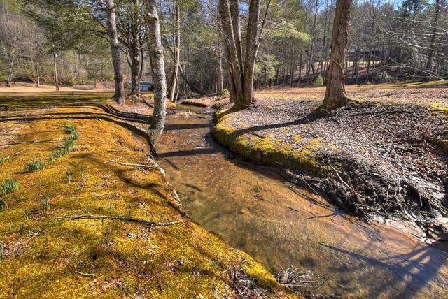 7233 Shakerag Road, Ellijay, GA 30540