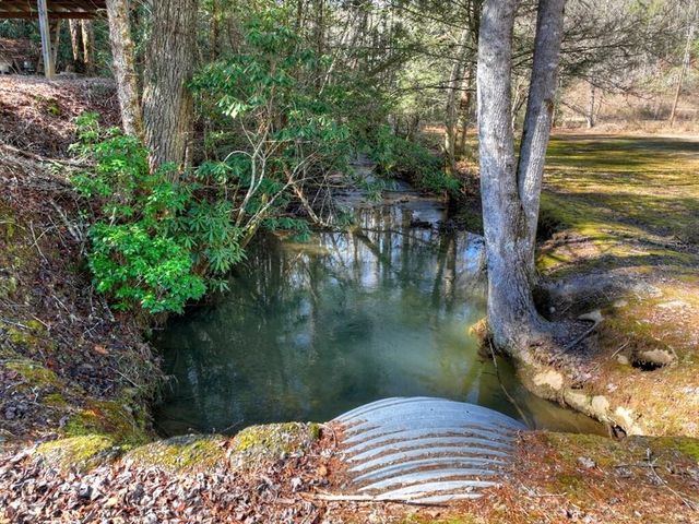 7233 Shakerag Road, Ellijay, GA 30540