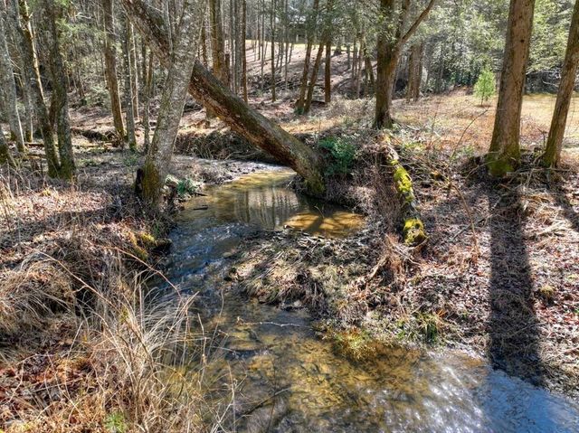 7233 Shakerag Road, Ellijay, GA 30540