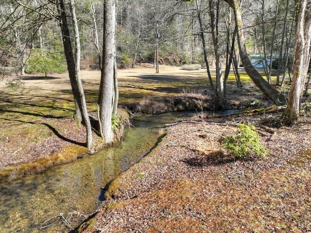 7233 Shakerag Road, Ellijay, GA 30540