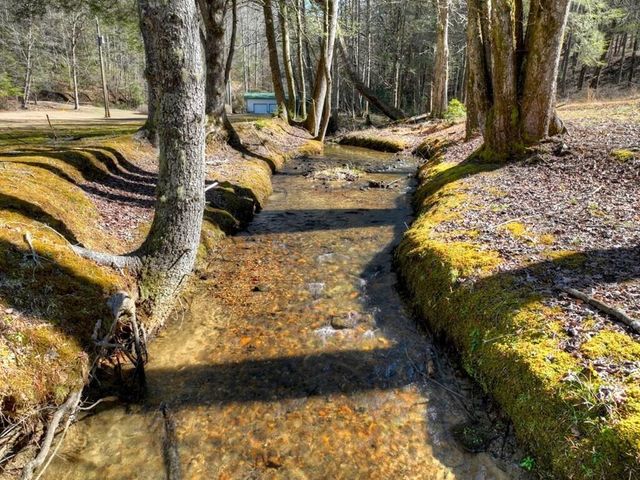 7233 Shakerag Road, Ellijay, GA 30540